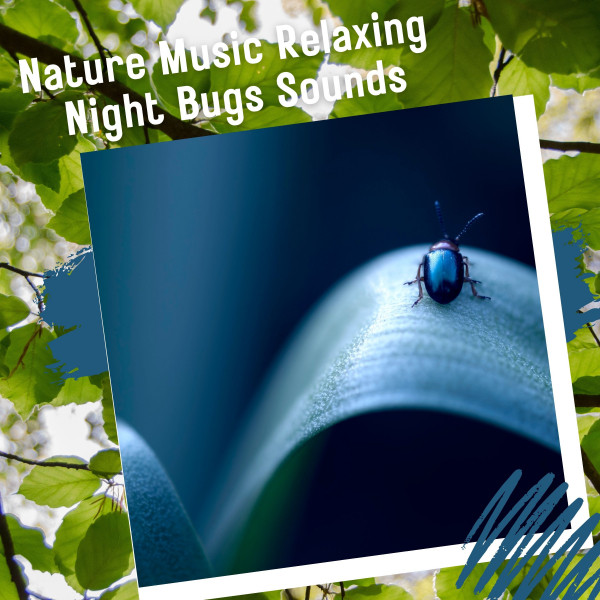 Nature Music Relaxing Night Bugs Sounds - Album by Binaural Beats | Spotify