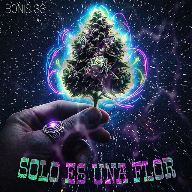 BONIS 33