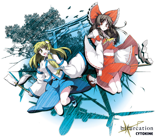 bifurcation cover art