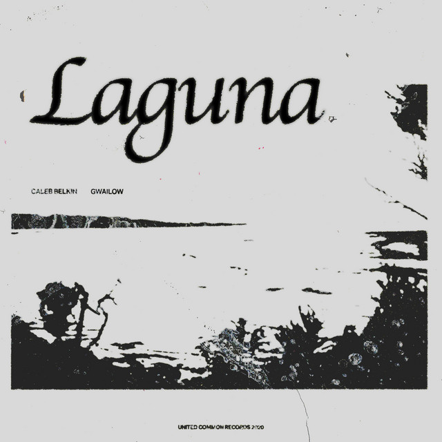 Laguna cover art