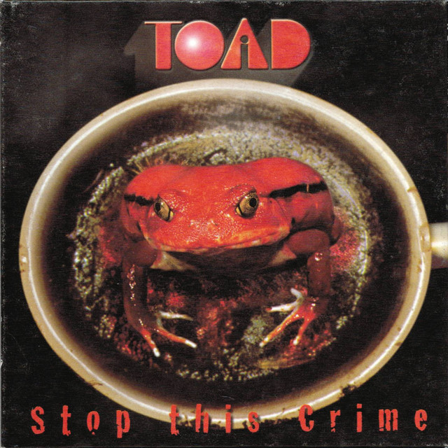 Stop This Crime cover art