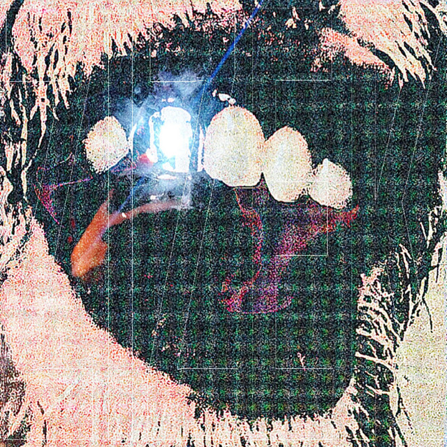 ZIZEK TAPE cover art