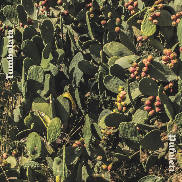Tumbulata cover art