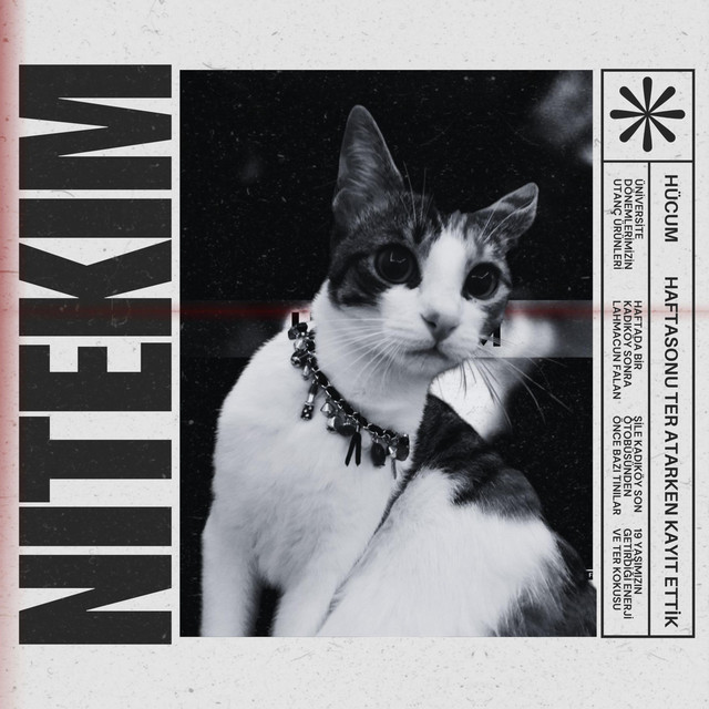 Hücum Kayıtlar cover art