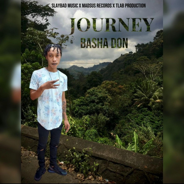 Basha Don | Spotify