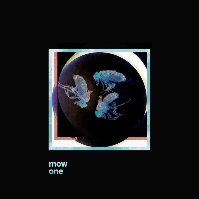 One cover art