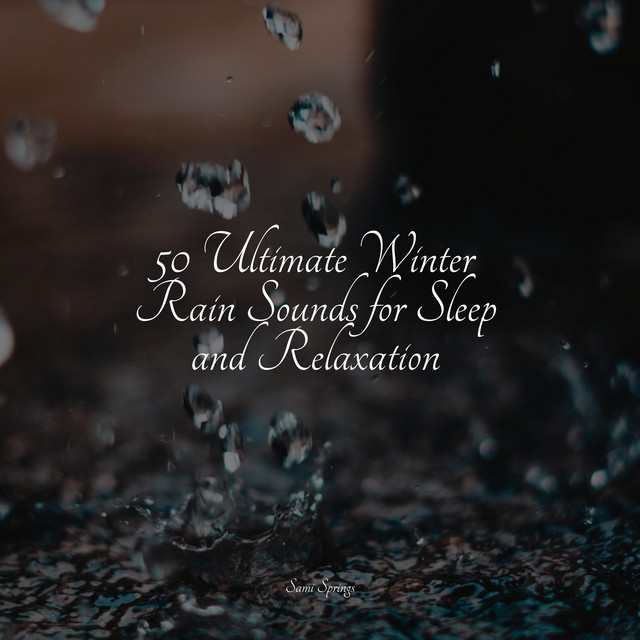 50 Ultimate Winter Rain Sounds for Sleep and Relaxation - Album by Rain ...