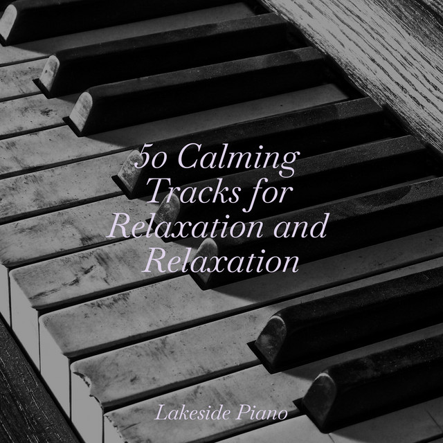 50 Calming Tracks for Relaxation and Relaxation - Album by SD | Spotify