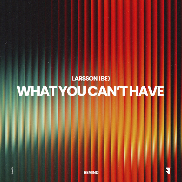 What You Can´t Have - Extended Mix album art