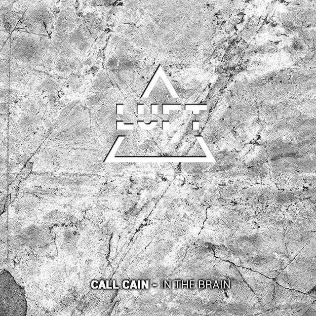 In The Brain cover