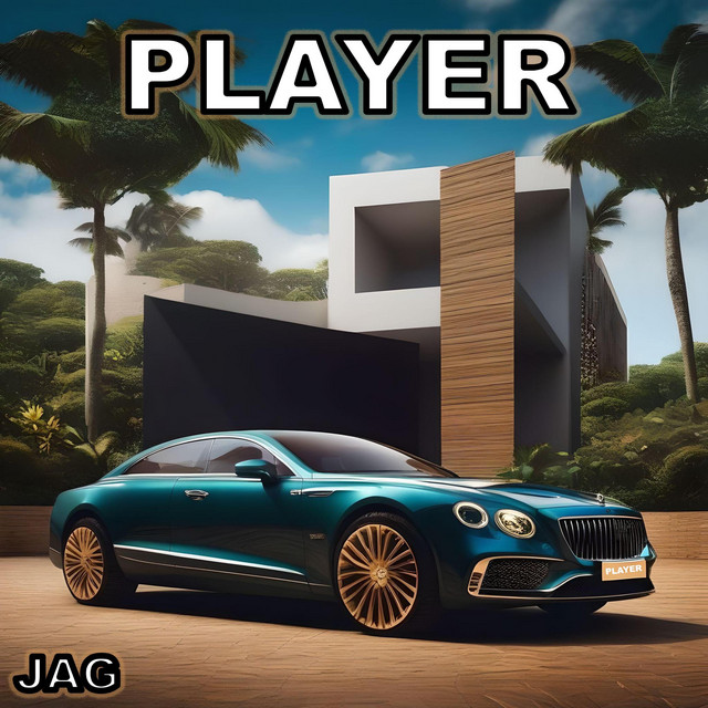 Player cover art