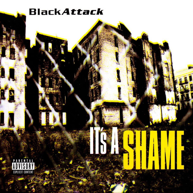 It's a Shame - Radio Version cover art