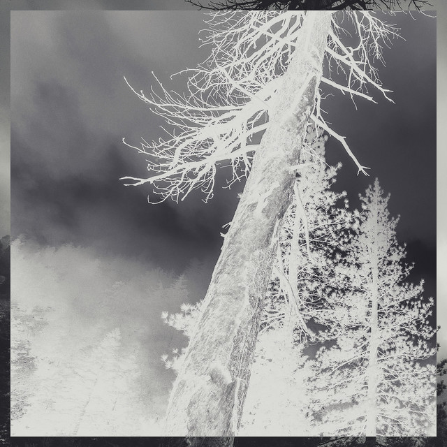 A THOUSAND DAYS cover art