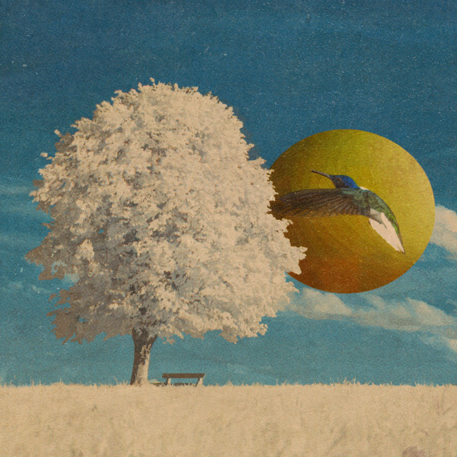 What Goes Up Must Come Down cover art