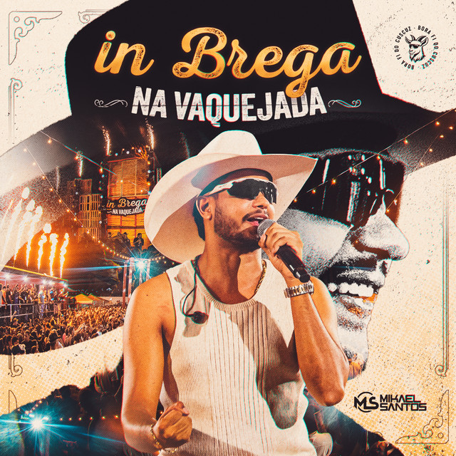 In Brega na Vaquejada - Pt.1 album image