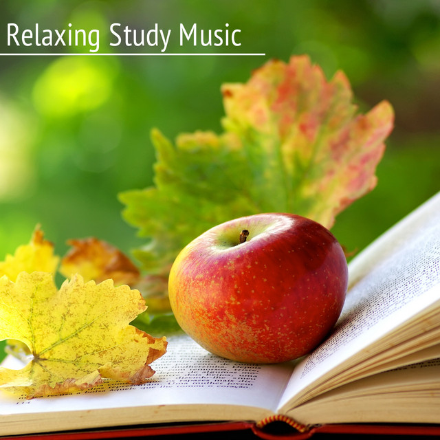 Relaxing Study Music - Classical Study Music and Best Study Songs for ...