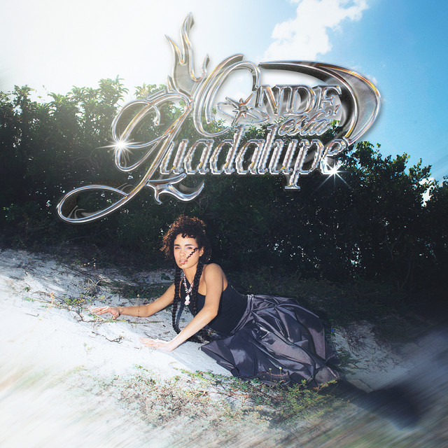 Onde Está Guadalupe? cover art