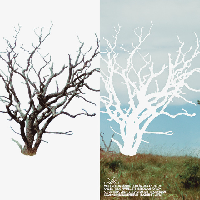 BLÖDER cover art