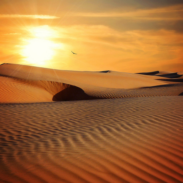 Desert Sand | Relaxation Meditation Music cover art