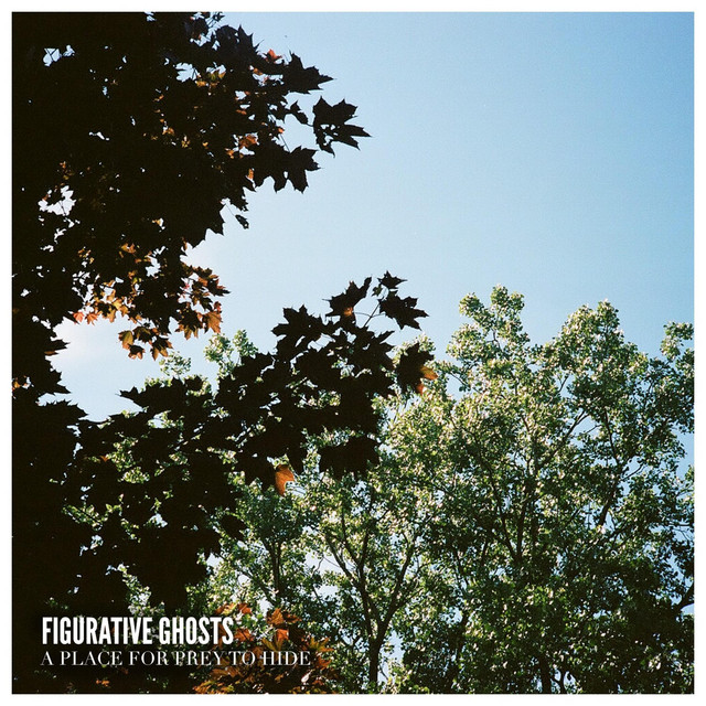 A Place for Prey to Hide (single)