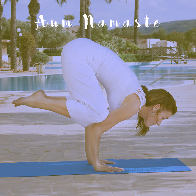 Aum Namaste cover art