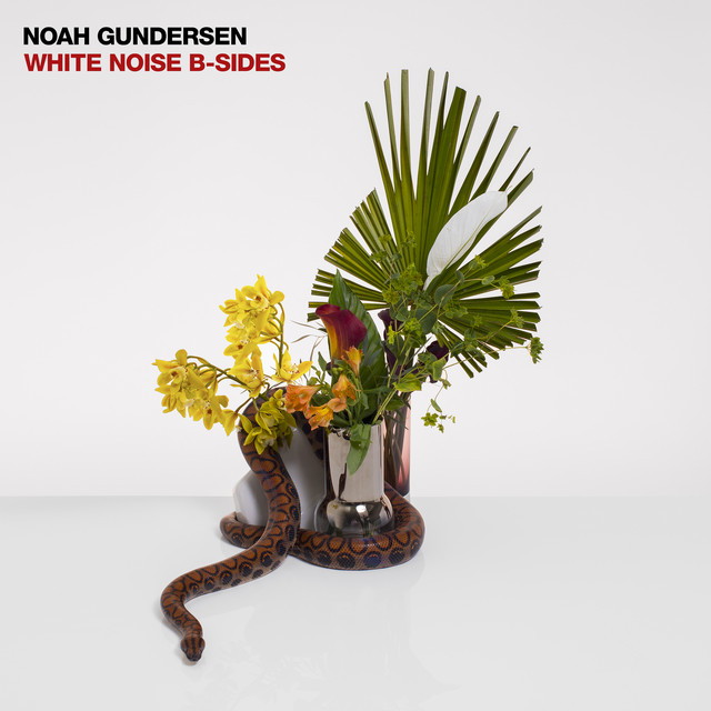 WHITE NOISE B-SIDES