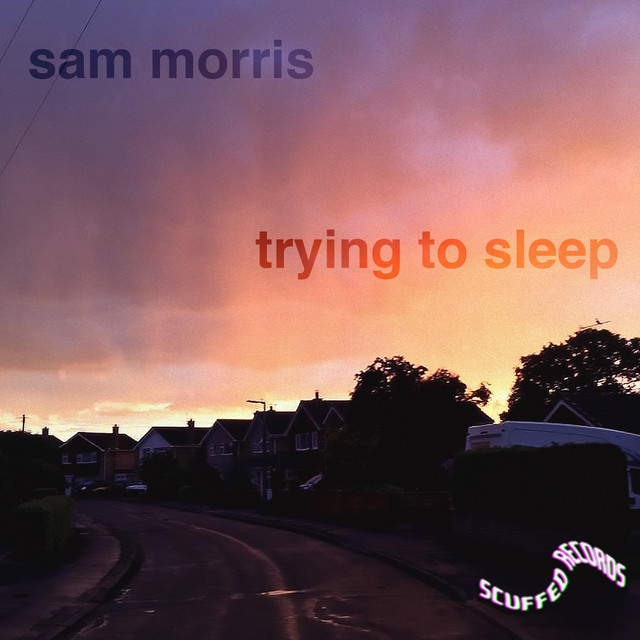 trying to sleep cover art