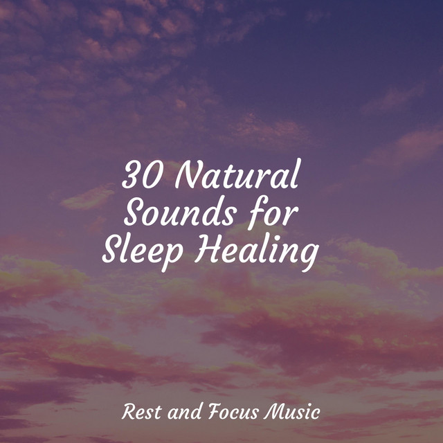 30 Natural Sounds for Sleep Healing - Album by Meditation Zen | Spotify