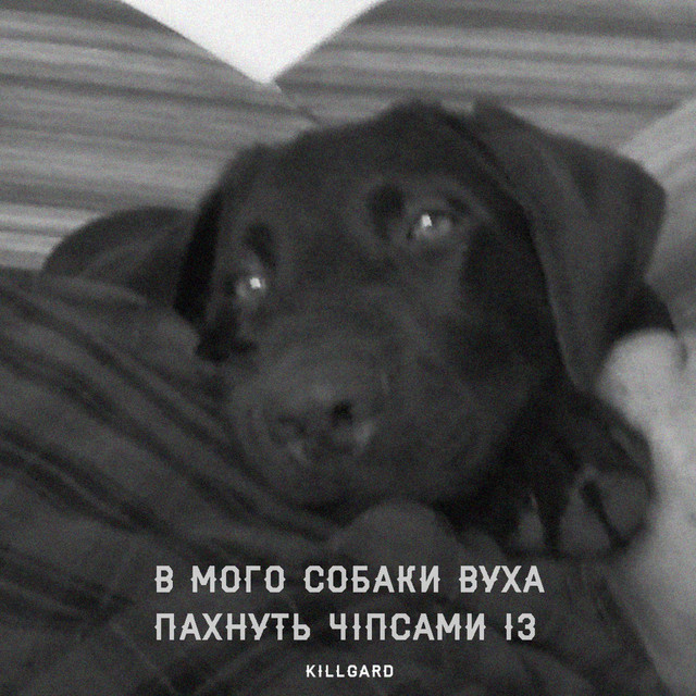 Обкладинка: В мого собаки вуха пахнуть чіпсами із — KillGard