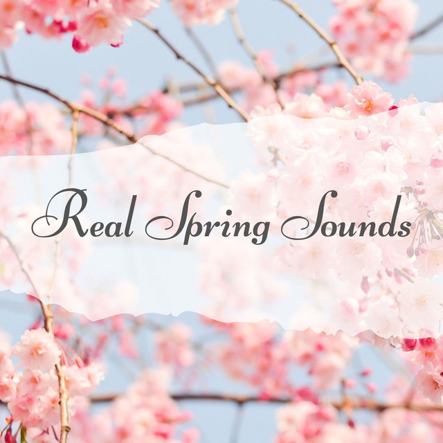 Real Spring Sounds: Early Morning Springtime Serotonin Music - Album by ...
