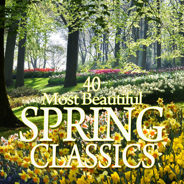 Sibelius: Suite for Violin and String Orchestra in D Minor, Op. 117: II. Evening in Spring