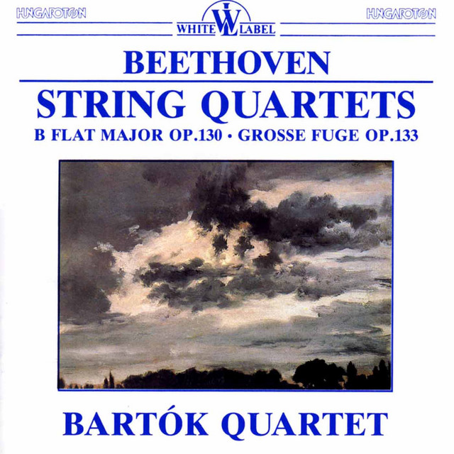 Sinfonia Concertante K.A9 - Serenade K.375