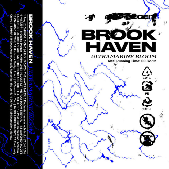 ULTRAMARINE BLOOM cover art