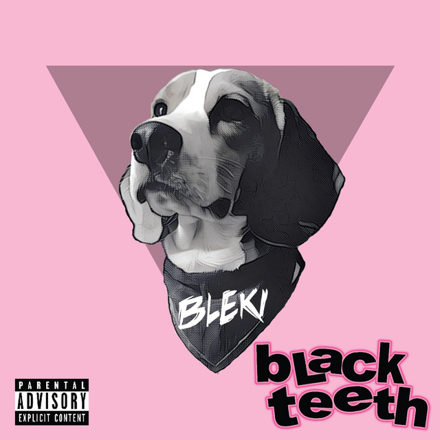 Bleki cover art