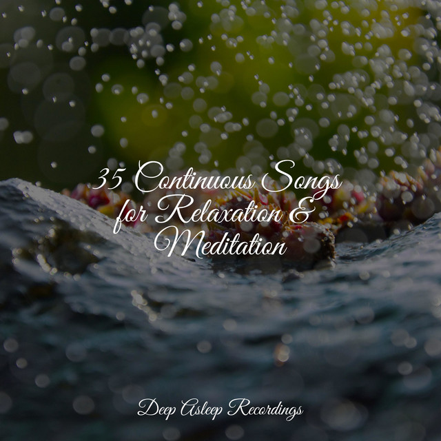 35 Continuous Songs for Relaxation & Meditation - Album by Serenity Spa ...