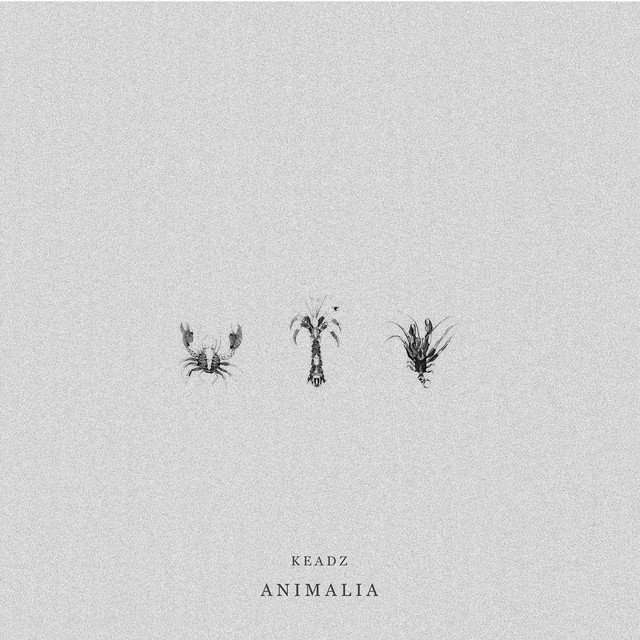 Animalia cover
