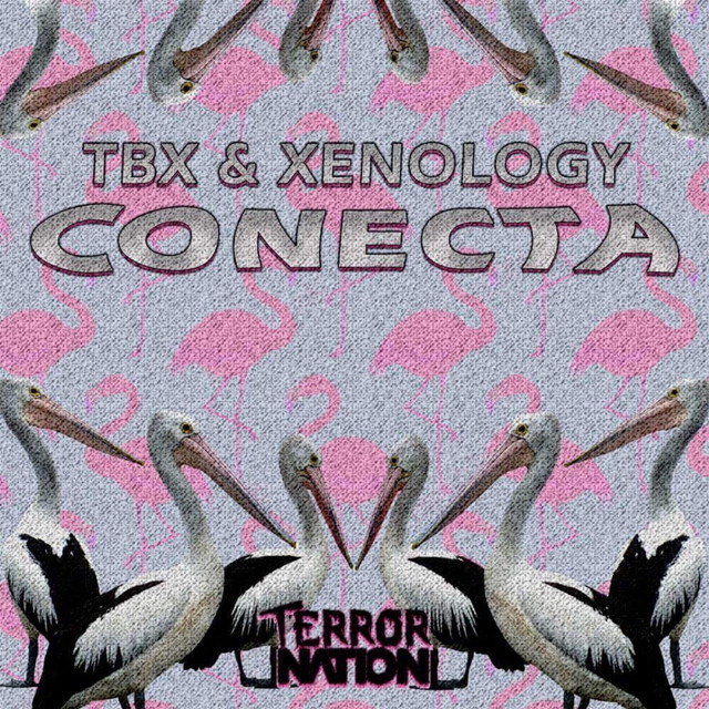 Conecta cover art