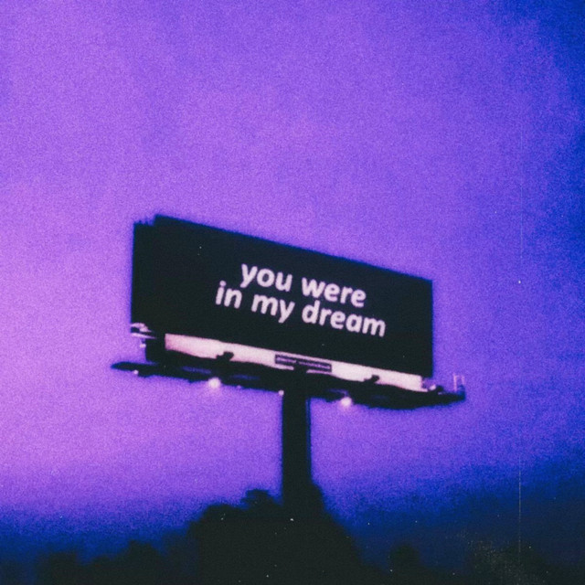 you were in my dream