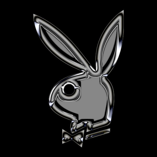 Bandida Playboy