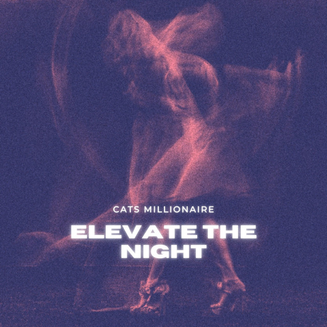 Cats Millionaire
