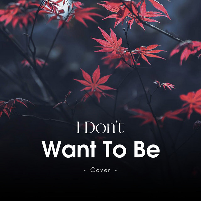 I Don't Want To Be - Cover