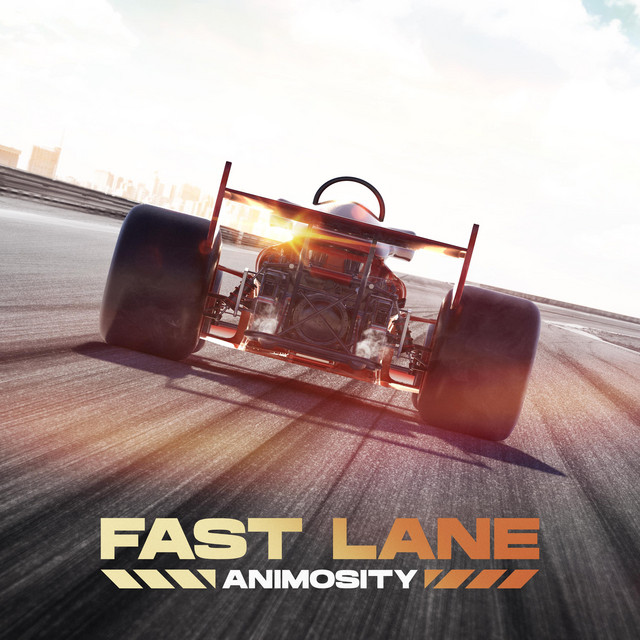 Fast Lane (Radio Edit) - Single by Animositydj | Spotify