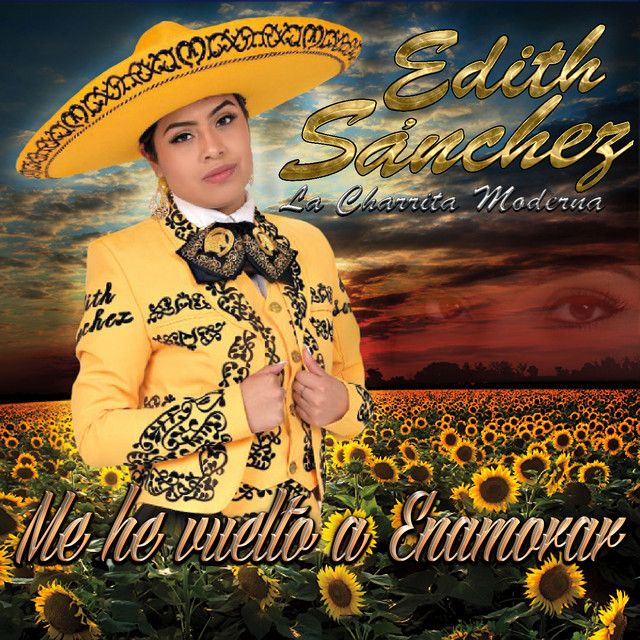 Me He Vuelto a Enamorar cover art