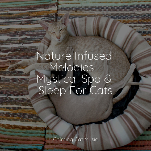 Nature Infused Melodies | Mystical Spa & Sleep For Cats - Album by ...