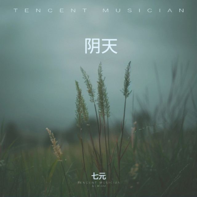 阴天 album image