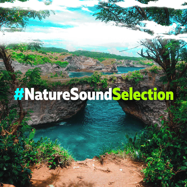 #NatureSoundSelection - Album by Sleep Sounds of Nature | Spotify