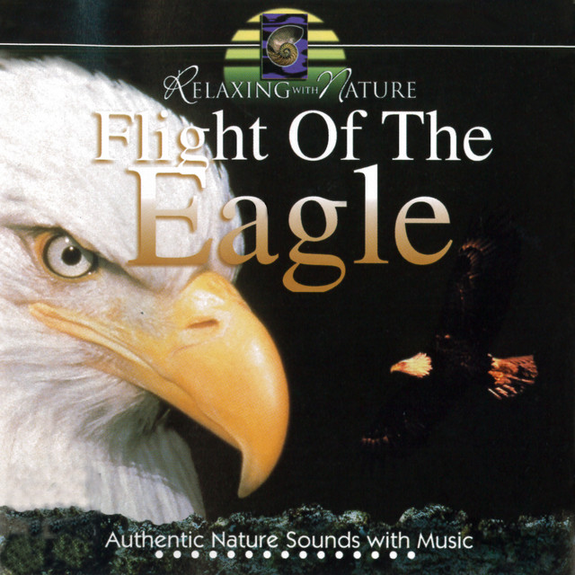 Flight of the Eagle cover art
