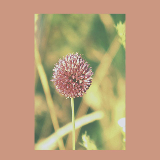 Music for Evening Quiet - Soprano Sax Solo cover art