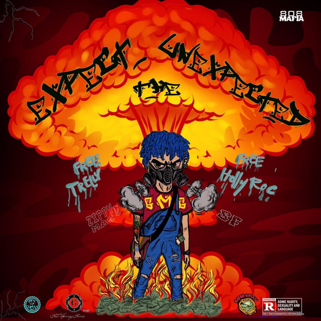 Expect the Unexpected cover art