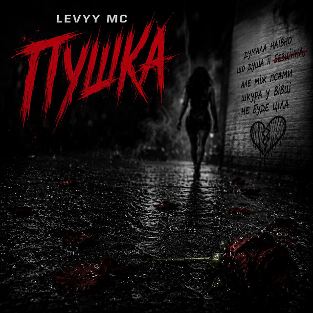 Обкладинка: Пушка — Levyy MC